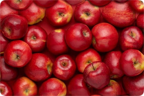 تصویر 2 از قیمت خرید سیب قرمز فرانسه + فروش ویژه